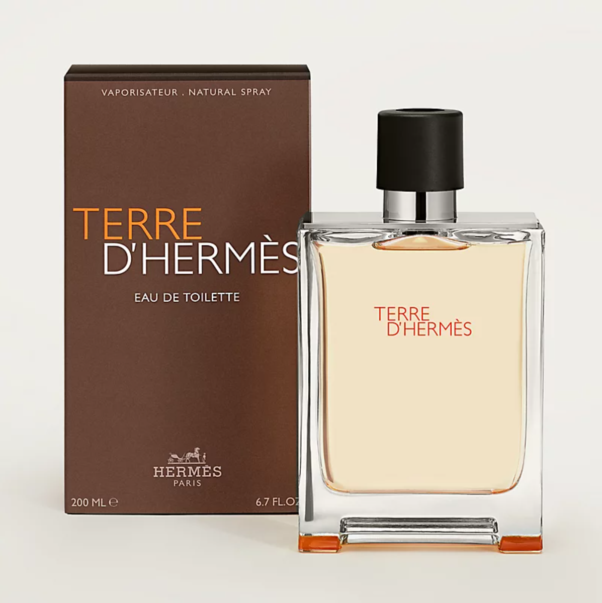 Terre D'Hermes Eau De Toilette - Natural Spray