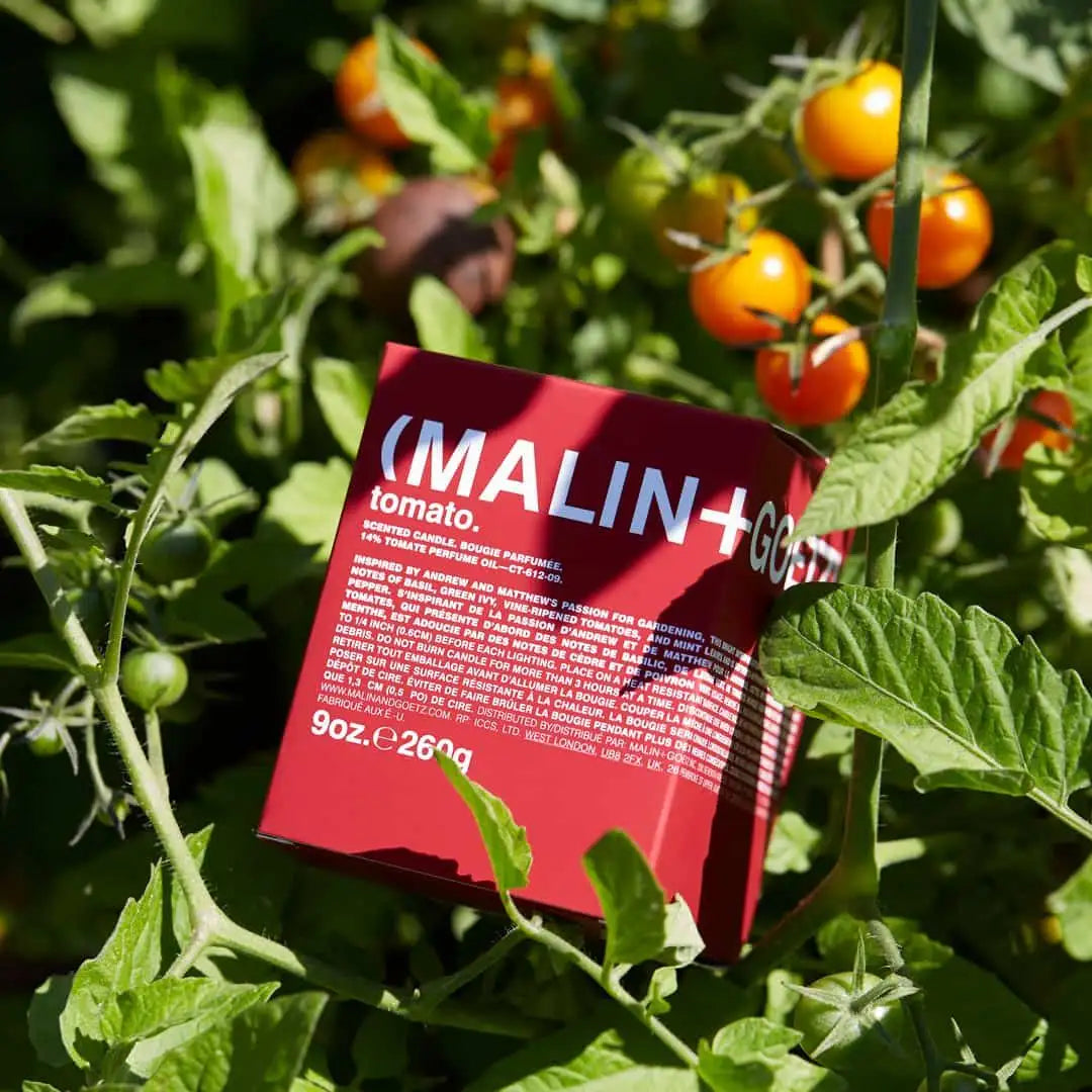 Tomato Candle | New London Pharmacy