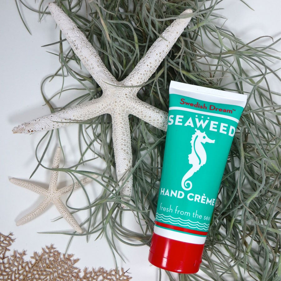 Swedish Dream Seaweed Hand Cream