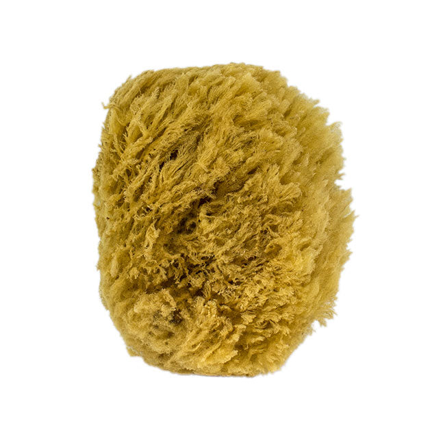 The All Natural Sea Sponge