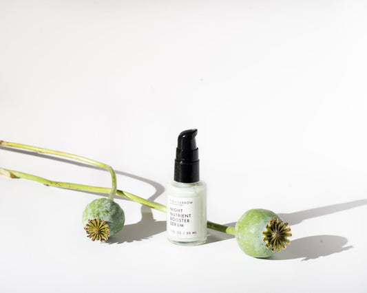 Night Nutrients Booster Serum